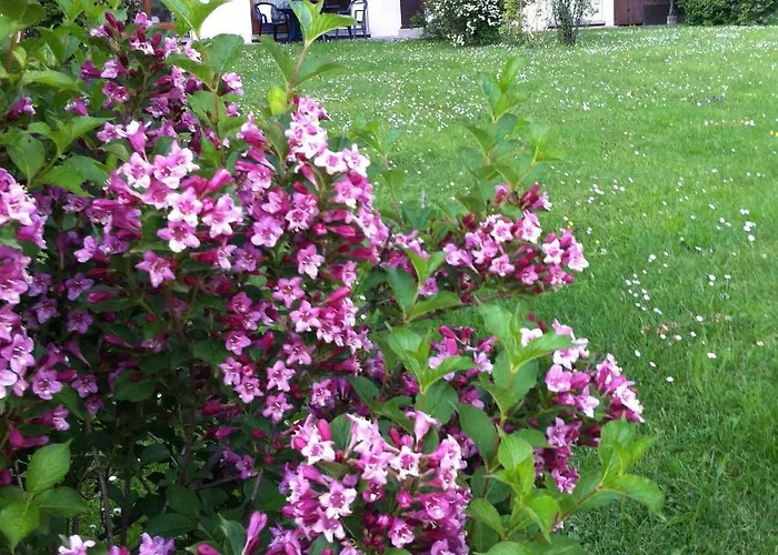 Front Slope Apartman *